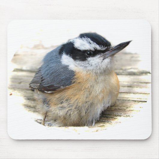 Roodkorrelig Nuthatch Muismat (Voorkant)