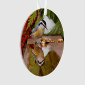 Roodkorrelig Nuthatch Ornament (voorkant)