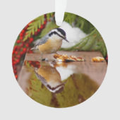 Roodkorrelig Nuthatch Ornament (voorkant)