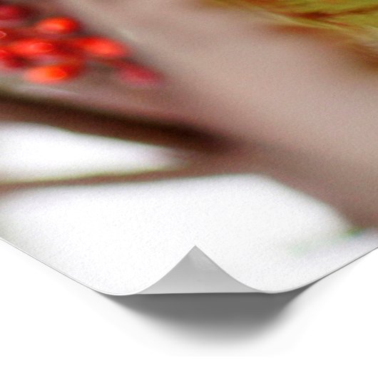 Roodkorrelig Nuthatch Poster (Hoek)