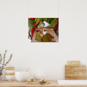 Roodkorrelig Nuthatch Poster (Keuken)