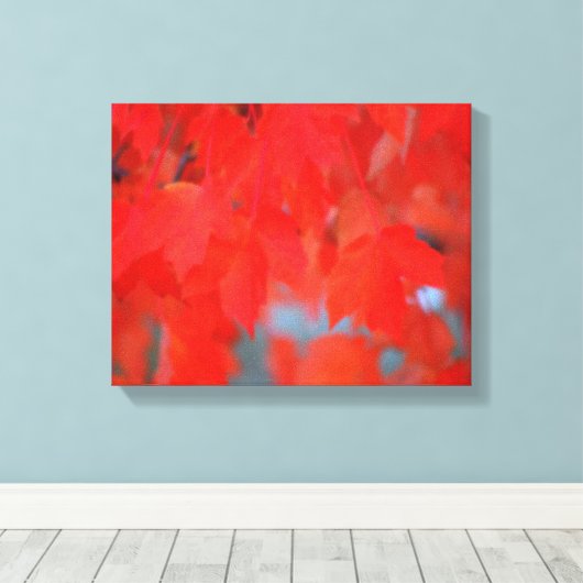 Roodmakreel in het najaar canvas afdruk (Insitu (Houten vloer))