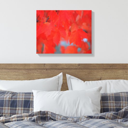 Roodmakreel in het najaar canvas afdruk (Insitu (Slaapkamer))