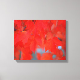 Roodmakreel in het najaar canvas afdruk