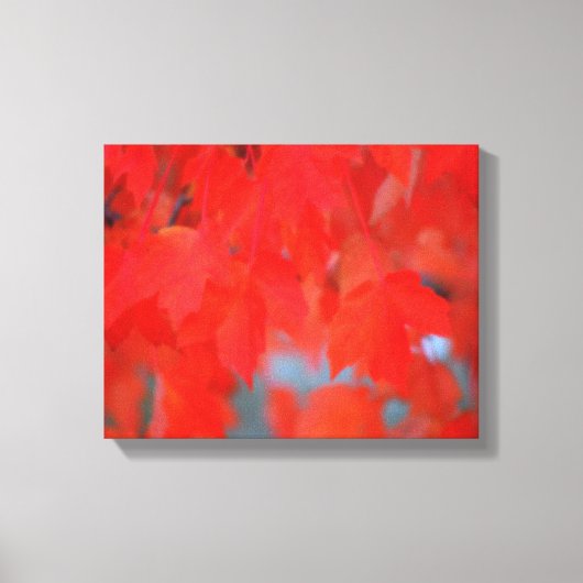 Roodmakreel in het najaar canvas afdruk (Voorkant)