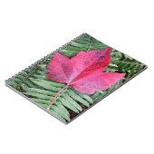 Roodmakreel op groen fern-botanisch notitieboek (Linkerzijde)