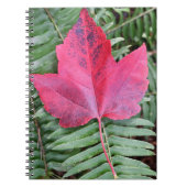 Roodmakreel op groen fern-botanisch notitieboek (Voorkant)