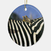Roodnavelvogel op een Zebra achterkant - Zimbabwe Keramisch Ornament (Links)
