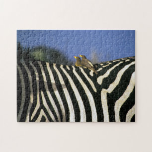 Roodnavelvogel op een Zebra achterkant - Zimbabwe Legpuzzel