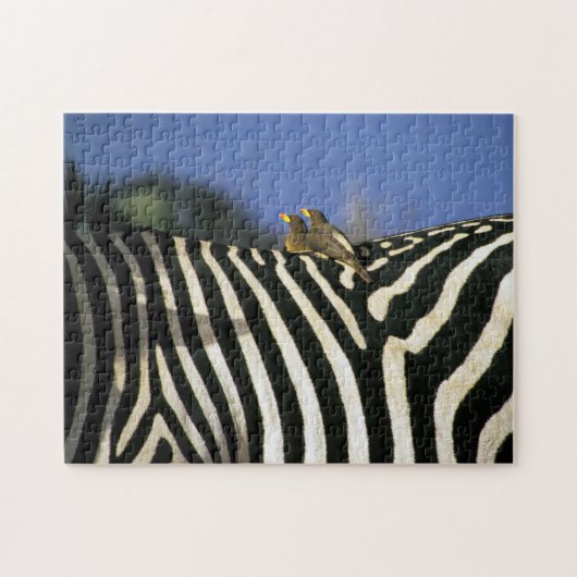 Roodnavelvogel op een Zebra achterkant - Zimbabwe Legpuzzel (Horizontaal)