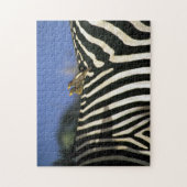 Roodnavelvogel op een Zebra achterkant - Zimbabwe Legpuzzel (Verticaal)