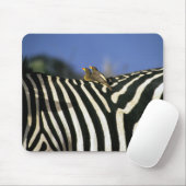Roodnavelvogel op een Zebra achterkant - Zimbabwe Muismat (Met muis)