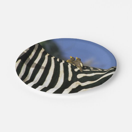 Roodnavelvogel op een Zebra achterkant - Zimbabwe Papieren Bordje (Gekanteld)