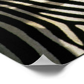 Roodnavelvogel op een Zebra achterkant - Zimbabwe Poster (Hoek)