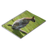 Roodnekkige behang en haar joey notitieboek (Linkerzijde)