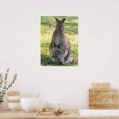 Roodnekkige wieg en briefkaart poster (Keuken)