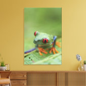 Roodogen boomkikker (Agalychnis callidryas) 2 Canvas Afdruk (Insitu (Woonkamer))