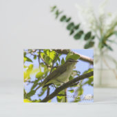 Roodogen Vireo Briefkaart (Staand voorkant)