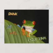 Roodogige Bontgekleurde Nacht Kikvors Maatwerk. Da Briefkaart (Voorkant)