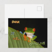 Roodogige Bontgekleurde Nachtkikker Bedankt Ansich Briefkaart (Voorkant / Achterkant)