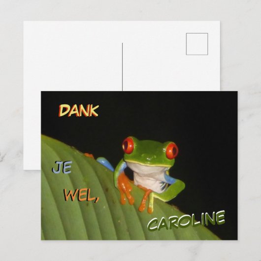 Roodogige Bontgekleurde Nachtkikker Bedankt Ansich Briefkaart (Voorkant / Achterkant)