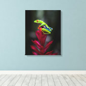 Roodogige Boomkikker Canvas Afdruk (Insitu (Houten vloer))