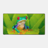 Roodogige boomkikker, Costa Rica Bureaumat (Voorkant)