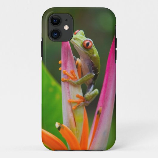 Roodogige boomkikker, Costa Rica Case-Mate iPhone Case (Achterkant)