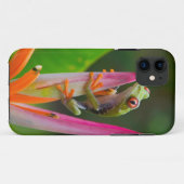 Roodogige boomkikker, Costa Rica Case-Mate iPhone Case (Achterkant (horizontaal))