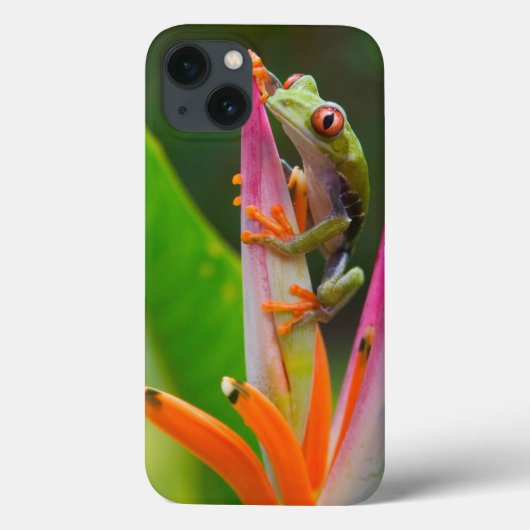 Roodogige boomkikker, Costa Rica Case-Mate iPhone Case (Achterkant)