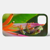 Roodogige boomkikker, Costa Rica Case-Mate iPhone Case (Achterkant (horizontaal))