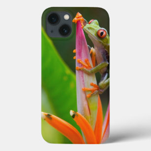 Roodogige boomkikker, Costa Rica iPhone 13 Hoesje