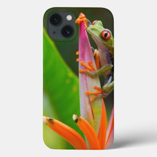 Roodogige boomkikker, Costa Rica Case-Mate iPhone Case (Achterkant)