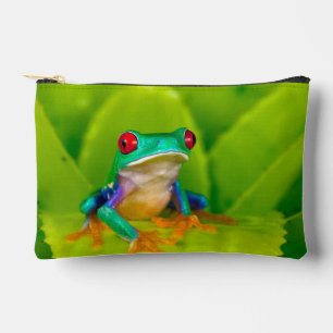 Roodogige boomkikker, Costa Rica Etui