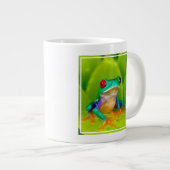 Roodogige boomkikker, Costa Rica Grote Koffiekop (Voorkant rechts)