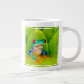 Roodogige boomkikker, Costa Rica Grote Koffiekop (Rechts)