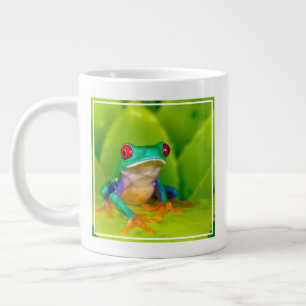 Roodogige boomkikker, Costa Rica Grote Koffiekop
