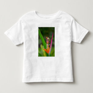 Roodogige boomkikker, Costa Rica Kinder Shirts
