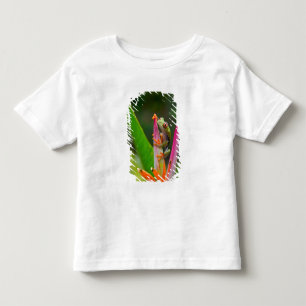 Roodogige boomkikker, Costa Rica Kinder Shirts
