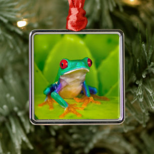 Roodogige boomkikker, Costa Rica Metalen Ornament