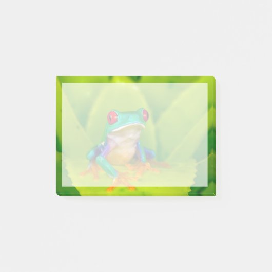 Roodogige boomkikker, Costa Rica Post-it® Notes (Voorkant)