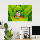 Roodogige boomkikker, Costa Rica Poster (Thuiskantoor)