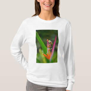 Roodogige boomkikker, Costa Rica T-shirt