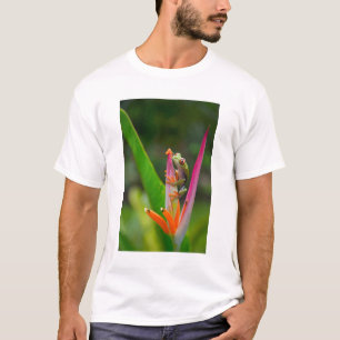 Roodogige boomkikker, Costa Rica T-shirt