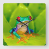 Roodogige boomkikker, Costa Rica Vierkante Klok (Voorkant)