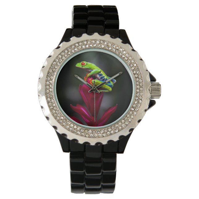 Roodogige Boomkikker Horloge (Voorkant)