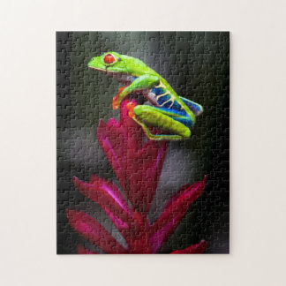 Roodogige Boomkikker Legpuzzel
