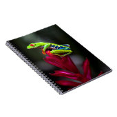 Roodogige Boomkikker Notitieboek (Rechterzijde)