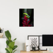 Roodogige Boomkikker Poster (Thuiskantoor)