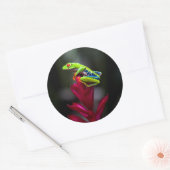 Roodogige Boomkikker Ronde Sticker (Envelop)